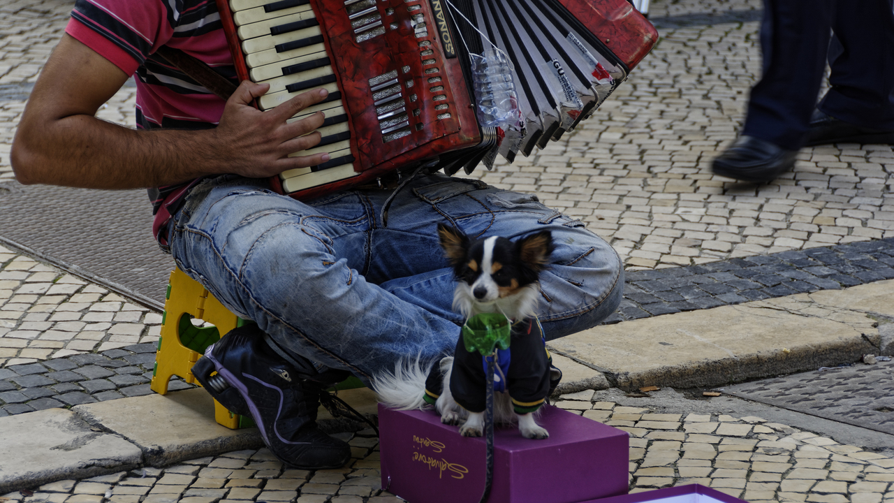 20141018 155215•Lisbon•Lisboa•Portugal